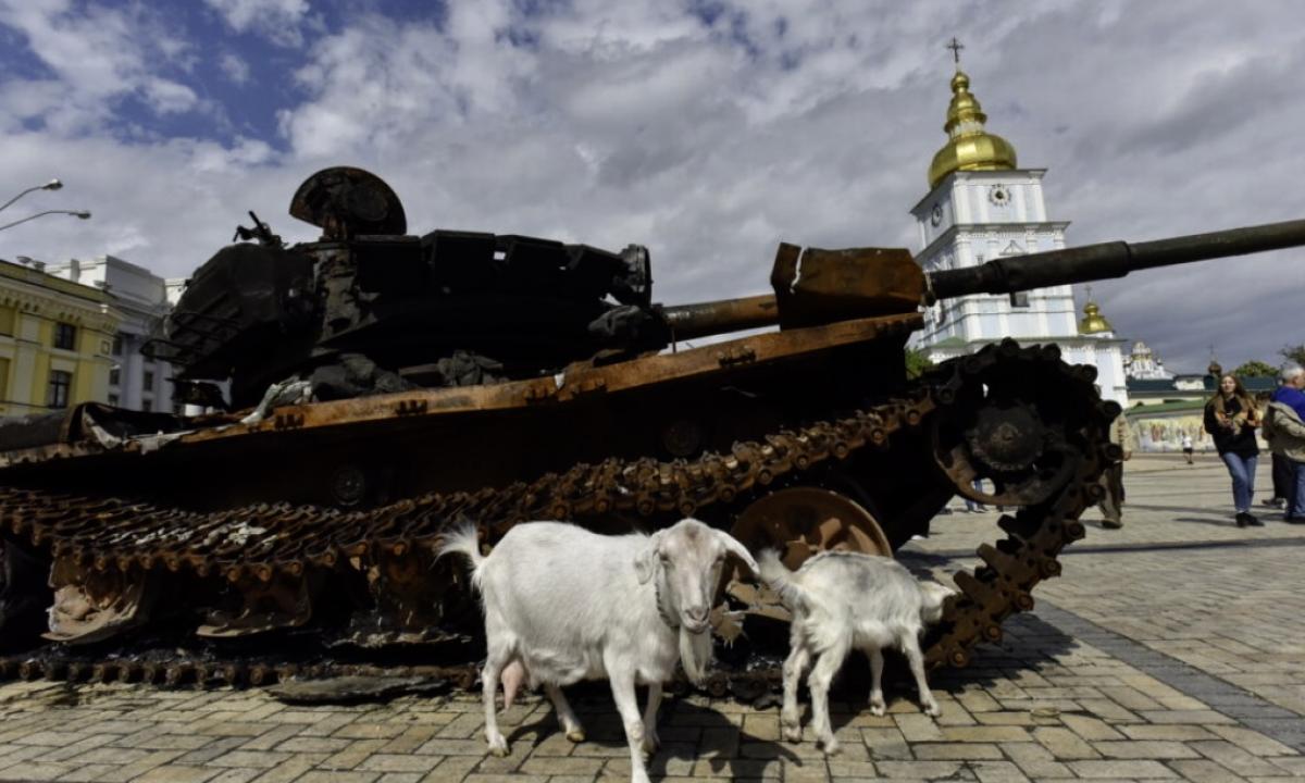 Ukraine-Krieg: Was will der Westen