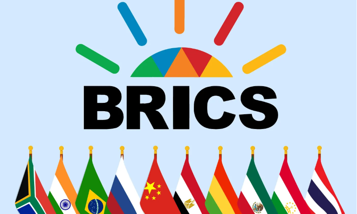 Pflichtlektüre: BRICS – das Jahrhundertprojekt