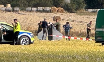 Le New Deal brun, partie III